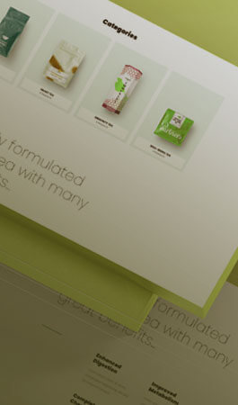 projects 03.jpg